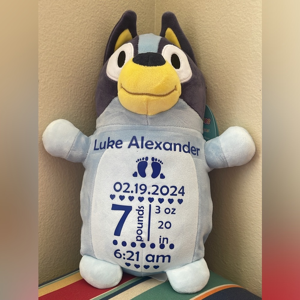 Bluey/ Bingo Personalized Birth Announcement Stuffy